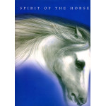 Spirit of the Horse Programms